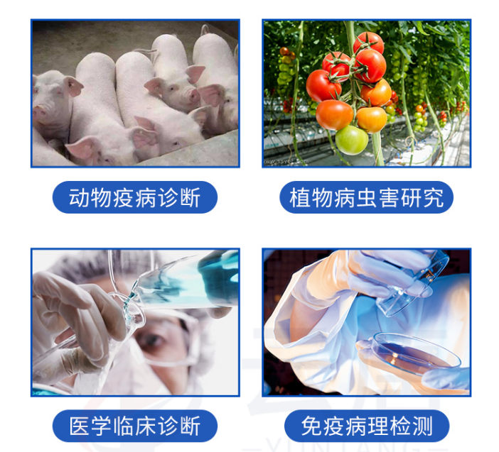 動(dòng)物疫病檢測(cè)儀的檢測(cè)范圍有哪些？