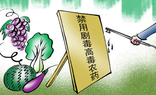 農藥殘留檢測儀怎么發(fā)揮其優(yōu)良性能？