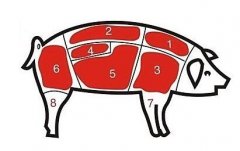 病害肉檢測儀讓老百姓吃上放心肉！